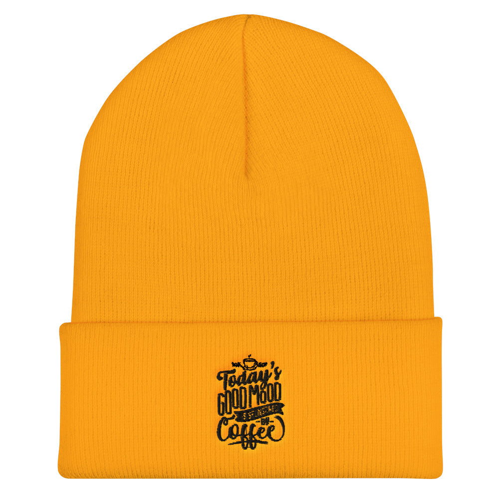 Today's Good Mood Is Sponsored By Coffee Cuffed Beanie