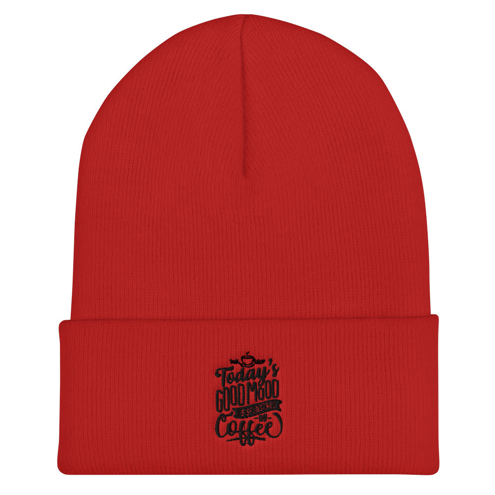 Today's Good Mood Is Sponsored By Coffee Cuffed Beanie